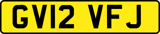 GV12VFJ