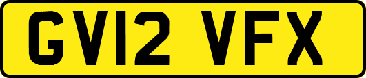 GV12VFX