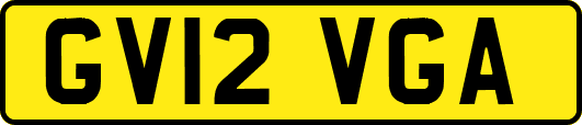 GV12VGA