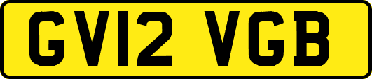 GV12VGB