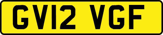 GV12VGF