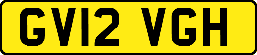 GV12VGH