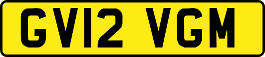 GV12VGM