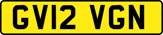 GV12VGN
