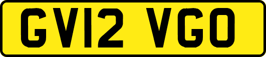 GV12VGO