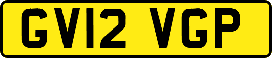 GV12VGP