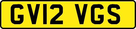 GV12VGS