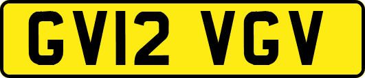 GV12VGV