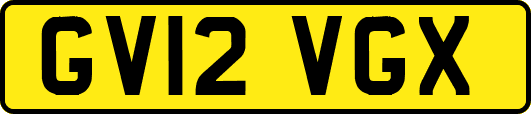 GV12VGX