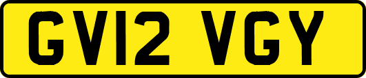 GV12VGY