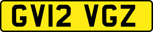 GV12VGZ