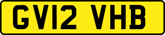 GV12VHB