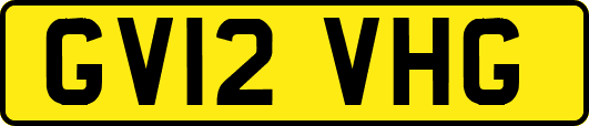 GV12VHG