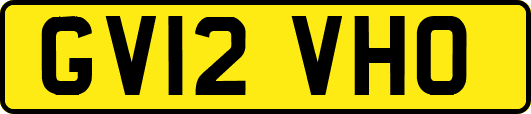 GV12VHO