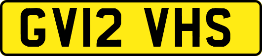 GV12VHS