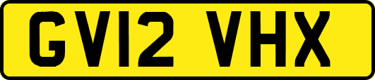 GV12VHX