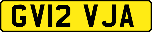 GV12VJA