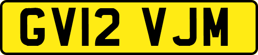GV12VJM