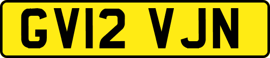 GV12VJN