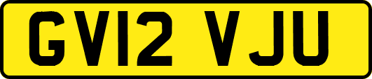 GV12VJU