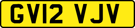 GV12VJV