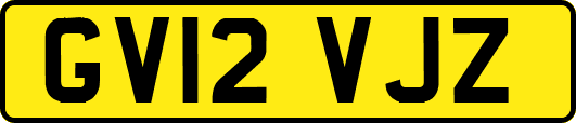 GV12VJZ