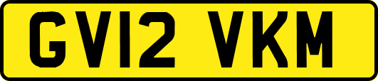 GV12VKM