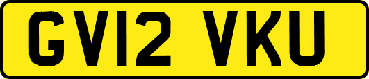 GV12VKU