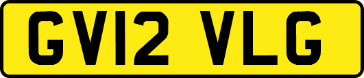 GV12VLG