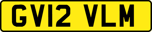 GV12VLM