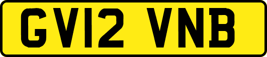 GV12VNB