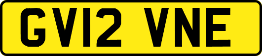GV12VNE
