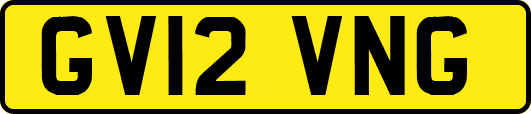 GV12VNG