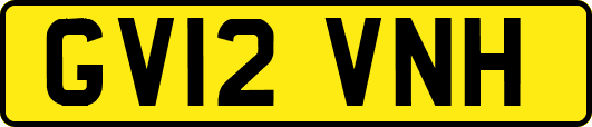 GV12VNH