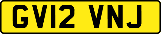 GV12VNJ