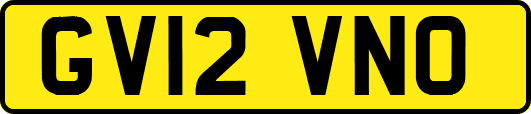 GV12VNO