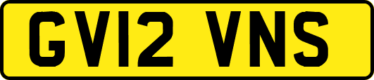 GV12VNS