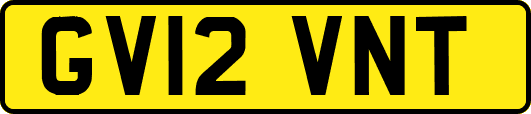 GV12VNT
