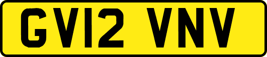 GV12VNV