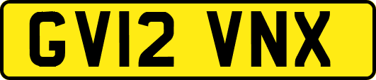 GV12VNX