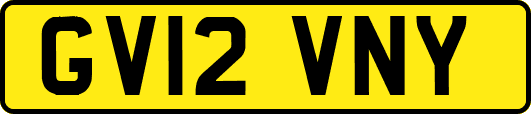 GV12VNY