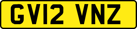 GV12VNZ