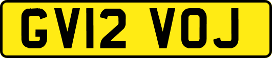GV12VOJ
