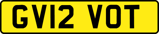 GV12VOT