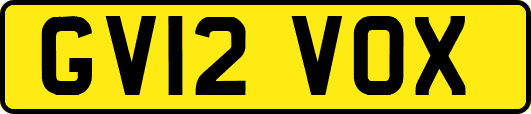 GV12VOX