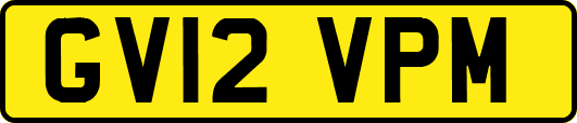 GV12VPM