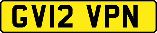 GV12VPN