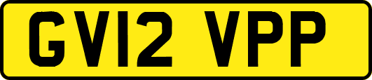 GV12VPP