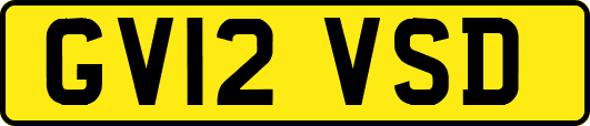 GV12VSD