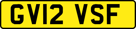 GV12VSF